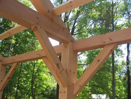 A wooden structure in the middle of a forest.